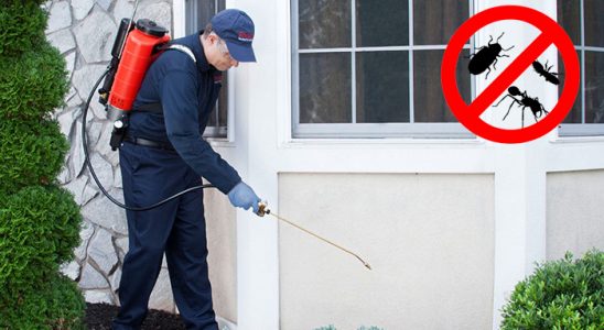 Düziçi Akrep İlaçlama böcek ilaçlama ve haşere kontrolü — ilaclama-tr.com